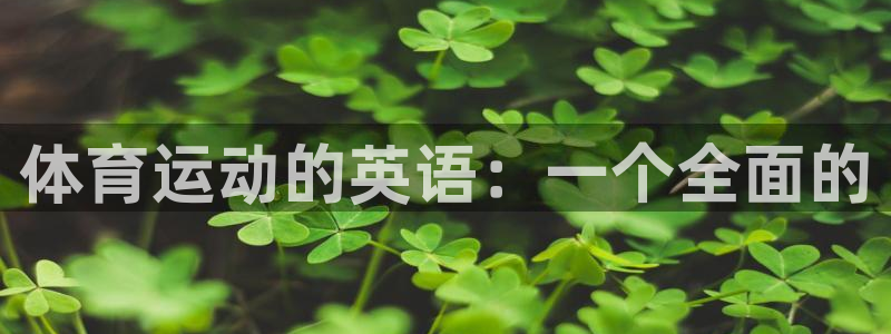 vsport体育