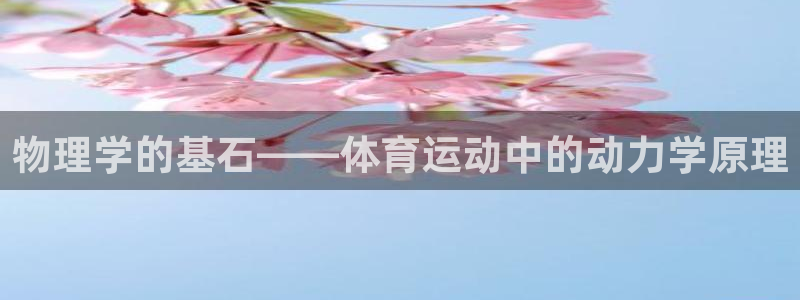 vsport体育