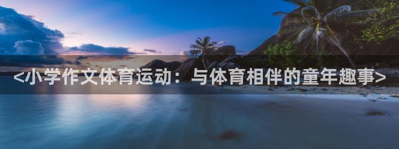 vsport体育在线官网