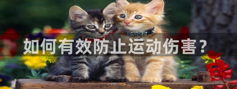 vsport体育在线官网：如何有效防止运动伤害？