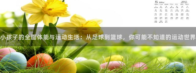 vsport体育：小孩子的全面体能与运动生活：从足球到篮球，你可能不知道的运动世界