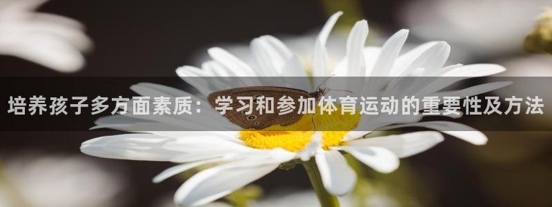 vsport体育在线官网：培养孩子多方面素质：学习和参加体育运动的重要性及方法
