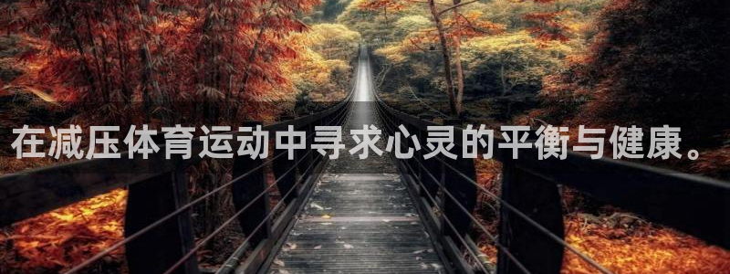 vsport体育在线官网：在减压体育运动中寻求心灵的平衡与健康。