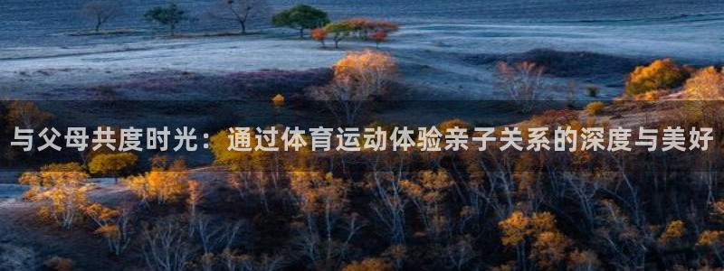 vsport体育：与父母共度时光：通过体育运动体验亲子关系的深度与美好