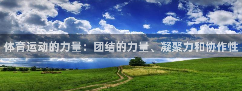 vsport体育在线官网：体育运动的力量：团结的力量、凝聚力和协作性