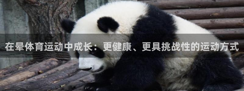 vsport体育在线官网：在晕体育运动中成长：更健康、更具挑战性的运动方式