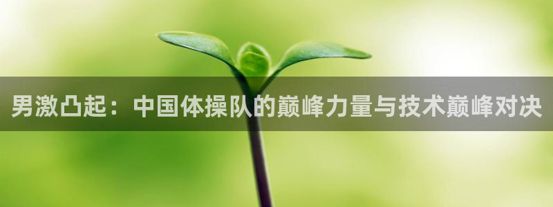 vsport体育：男激凸起：中国体操队的巅峰力量与技术巅峰对决
