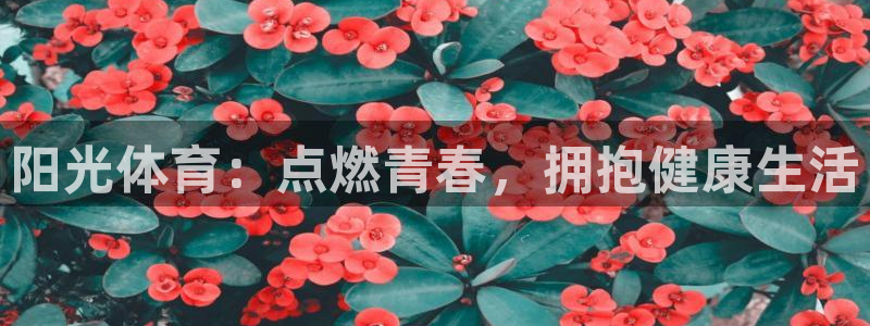 vsport体育在线官网：阳光体育：点燃青春，拥抱健康生活