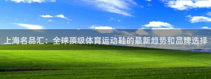 vsport体育在线官网：上海名品汇：全球顶级体育运动鞋的最新趋势和品牌选择