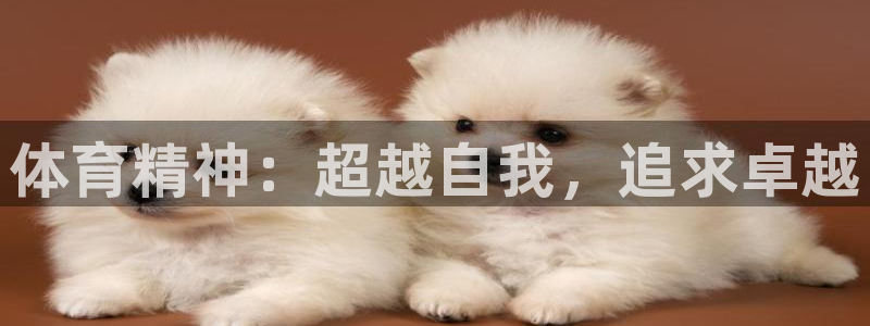 vsport体育在线官网：体育精神：超越自我，追求卓越