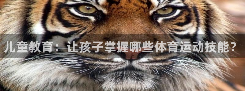 vsport体育在线官网
