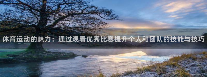 vsport体育：体育运动的魅力：通过观看优秀比赛提升个人和团队的技能与技巧
